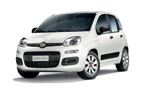 panda hybride